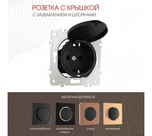 Розетка влагозащищенная с заземлением и со шторкой с крышкой Arte Milano am-202 202.41-1.black