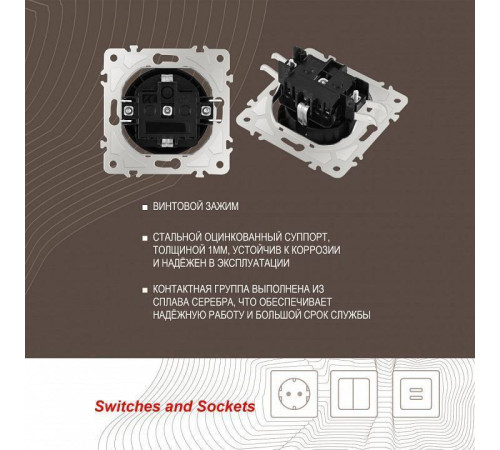 Розетка влагозащищенная с заземлением и со шторкой с крышкой Arte Milano am-202 202.41-1.black