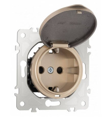Розетка влагозащищенная с заземлением и со шторкой с крышкой Arte Milano am-202 202.41-1.shampan