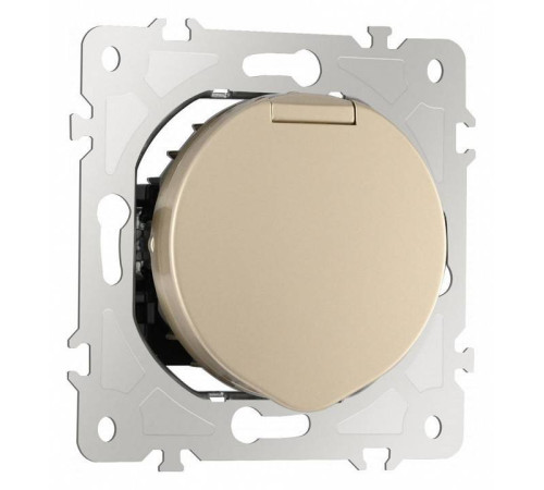 Розетка влагозащищенная с заземлением и со шторкой с крышкой Arte Milano am-202 202.41-1.shampan