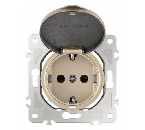 Розетка влагозащищенная с заземлением и со шторкой с крышкой Arte Milano am-202 202.41-1.shampan