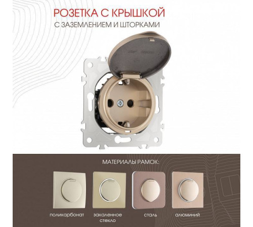 Розетка влагозащищенная с заземлением и со шторкой с крышкой Arte Milano am-202 202.41-1.shampan