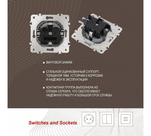 Розетка влагозащищенная с заземлением и со шторкой с крышкой Arte Milano am-202 202.41-1.silver