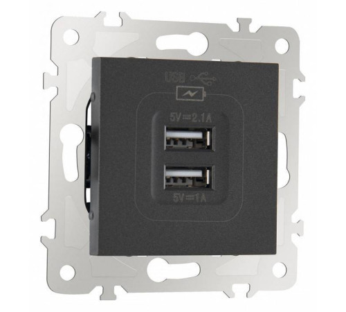 Розетка USB, без рамки Arte Milano am-203 203.46-1.black