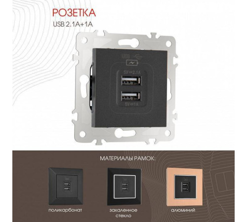 Розетка USB, без рамки Arte Milano am-203 203.46-1.black