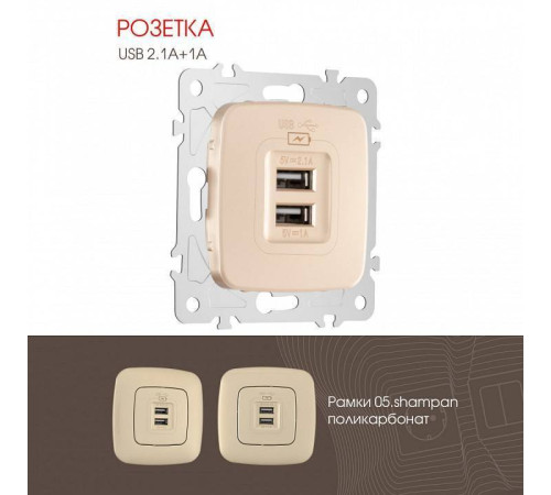 Розетка USB, без рамки Arte Milano am-205 205.46-1.shampan