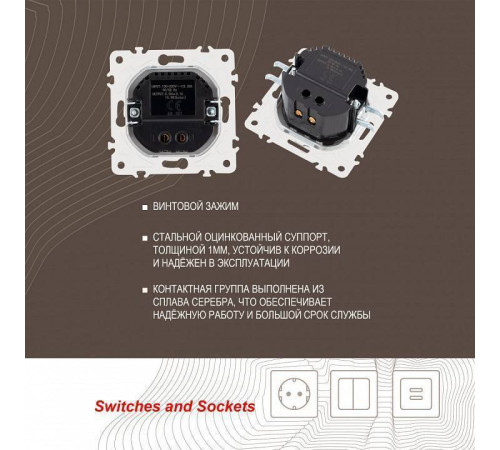 Розетка USB, без рамки Arte Milano am-205 205.46-1.shampan