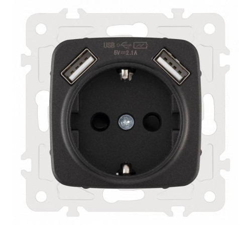 Розетка с заземлением и со шторкой и 2хUSB, без рамки Arte Milano am-205 205.47-1.black