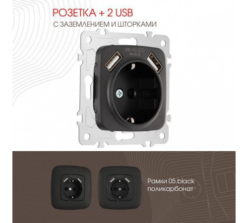 Розетка с заземлением и со шторкой и 2хUSB, без рамки Arte Milano am-205 205.47-1.black