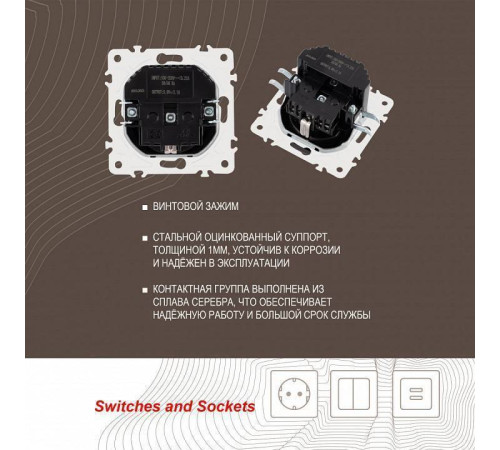 Розетка с заземлением и со шторкой и 2хUSB, без рамки Arte Milano am-205 205.47-1.black