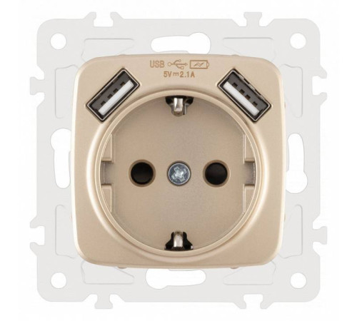 Розетка с заземлением и со шторкой и 2хUSB, без рамки Arte Milano am-205 205.47-1.shampan