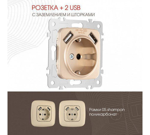 Розетка с заземлением и со шторкой и 2хUSB, без рамки Arte Milano am-205 205.47-1.shampan