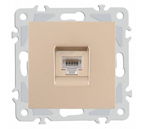 Розетка Ethernet RJ-45 без рамки Arte Milano am-206 206.45-1.shampan