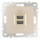 Розетка USB, без рамки Arte Milano am-206 206.46-1.shampan