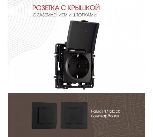 Розетка влагозащищенная с заземлением и со шторкой с крышкой Arte Milano am-217 217.41-1.black