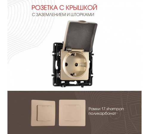 Розетка влагозащищенная с заземлением и со шторкой с крышкой Arte Milano am-217 217.41-1.shampan
