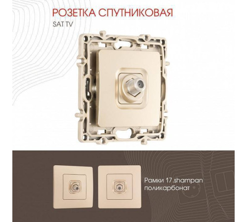ТВ-розетка без рамки Arte Milano am-217 217.42-1.shampan