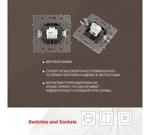 Розетка телефонная RJ-11 без рамки Arte Milano am-217 217.51-1.shampan