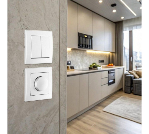 Выключатель двухклавишный Arte Milano SET06-1 SET06-1-30-2 silver