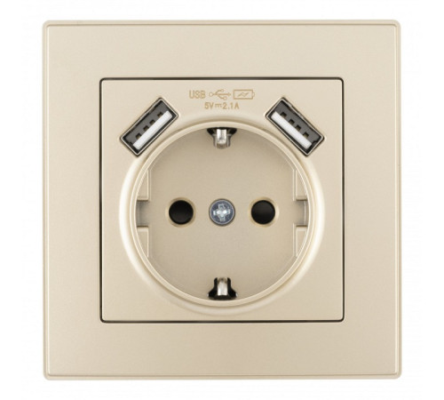 Розетка с заземлением и со шторкой и 2хUSB Arte Milano SET06-1 SET06-1-47-1 shampan