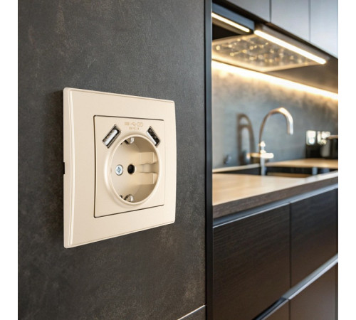 Розетка с заземлением и со шторкой и 2хUSB Arte Milano SET06-1 SET06-1-47-1 shampan