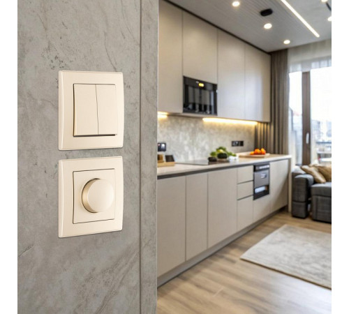 Диммер Arte Milano SET06-1 SET06-1-48-1 shampan