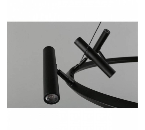 Подвесная люстра Aployt Honor APL.067.03.50