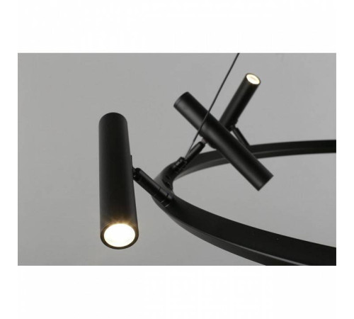 Подвесная люстра Aployt Honor APL.067.03.50