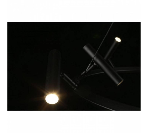 Подвесная люстра Aployt Honor APL.067.03.50