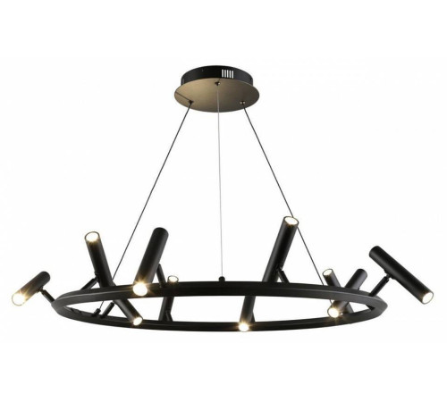 Подвесная люстра Aployt Honor APL.067.03.50