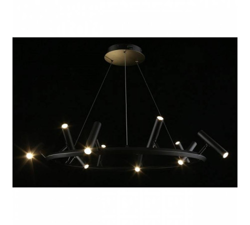 Подвесная люстра Aployt Honor APL.067.03.50