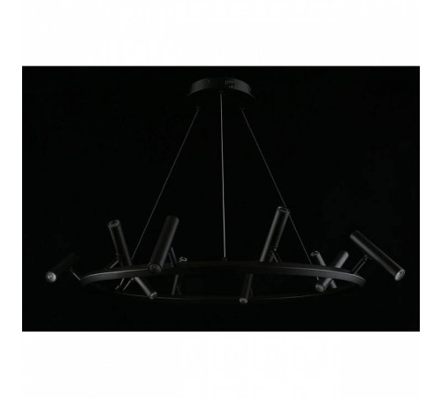 Подвесная люстра Aployt Honor APL.067.03.50