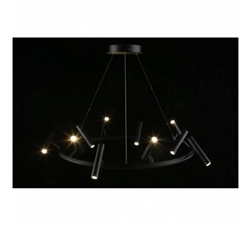 Подвесная люстра Aployt Honor APL.067.03.50