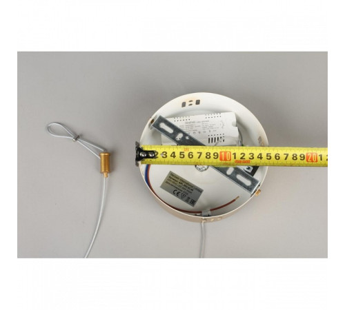 Подвесной светильник Aployt Judyta APL.082.03.40