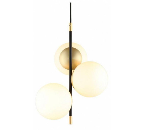 Подвесной светильник Aployt Kristina APL.313.06.03