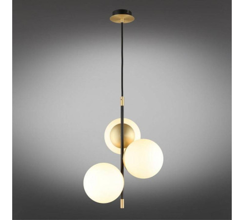 Подвесной светильник Aployt Kristina APL.313.06.03