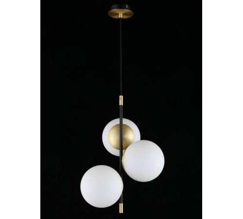 Подвесной светильник Aployt Kristina APL.313.06.03