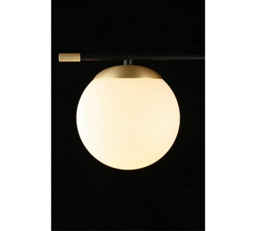 Подвесная люстра Aployt Kristina APL.313.07.06