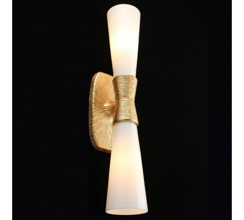 Бра Aployt Hloya APL.800.01.02