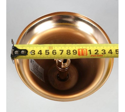 Подвесная люстра Aployt Alessio APL.858.03.31