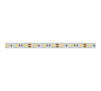 Лента светодиодная Arlight  012338(2)