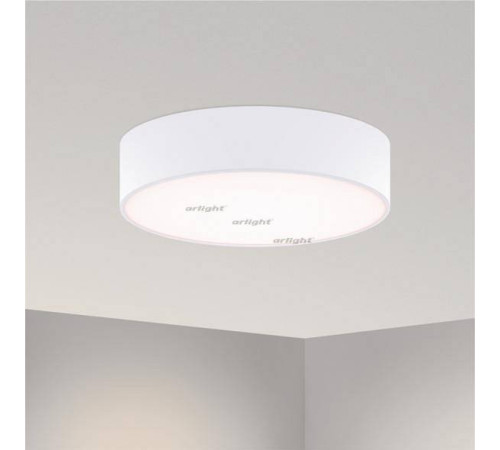 Светильник накладной Arlight SP-TOR-PILL 50 Вт 4000 К 022130(1)