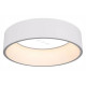 Подвесной светильник Arlight SP-TOR-RING-HANG-R460-33W Warm 3000K WH 022146(1)