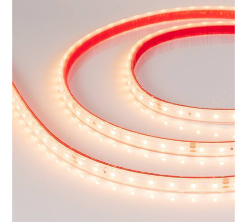 Лента светодиодная Arlight RTW герметичная 024520(2)