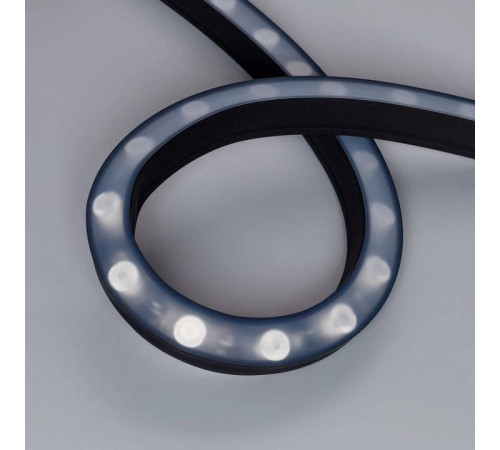 Лента светодиодная Arlight THOR 045254