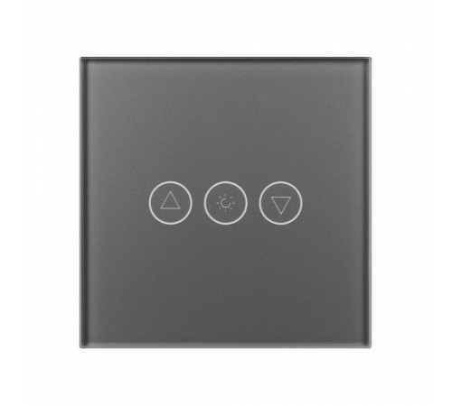 Панель-диммер сенсорный встраиваемый Arlight OMALI 050063