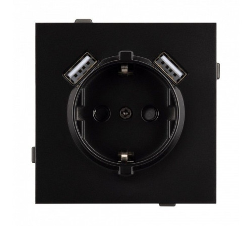 Розетка с заземлением и 2хUSB type A, без рамки Arlight SCT-TENDO 054083