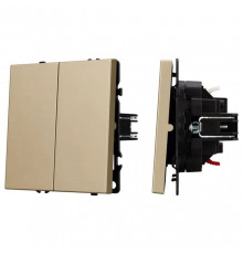 Выключатель двухклавишный без рамки Arlight SWT 054253