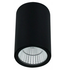 Накладной светильник Arte Lamp TORCULAR A1307PF-1BK