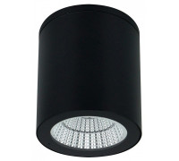 Накладной светильник Arte Lamp TORCULAR A1313PF-1BK